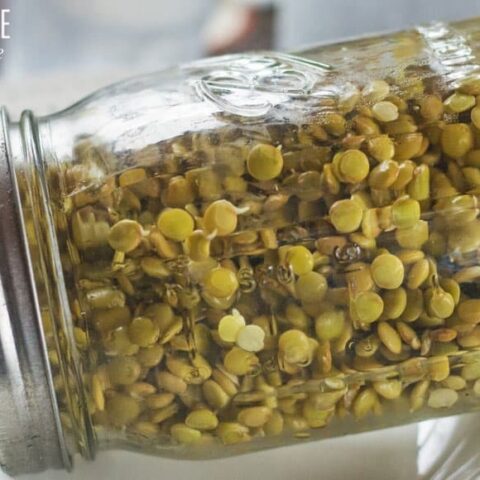 lentils in a glass jar on its side
