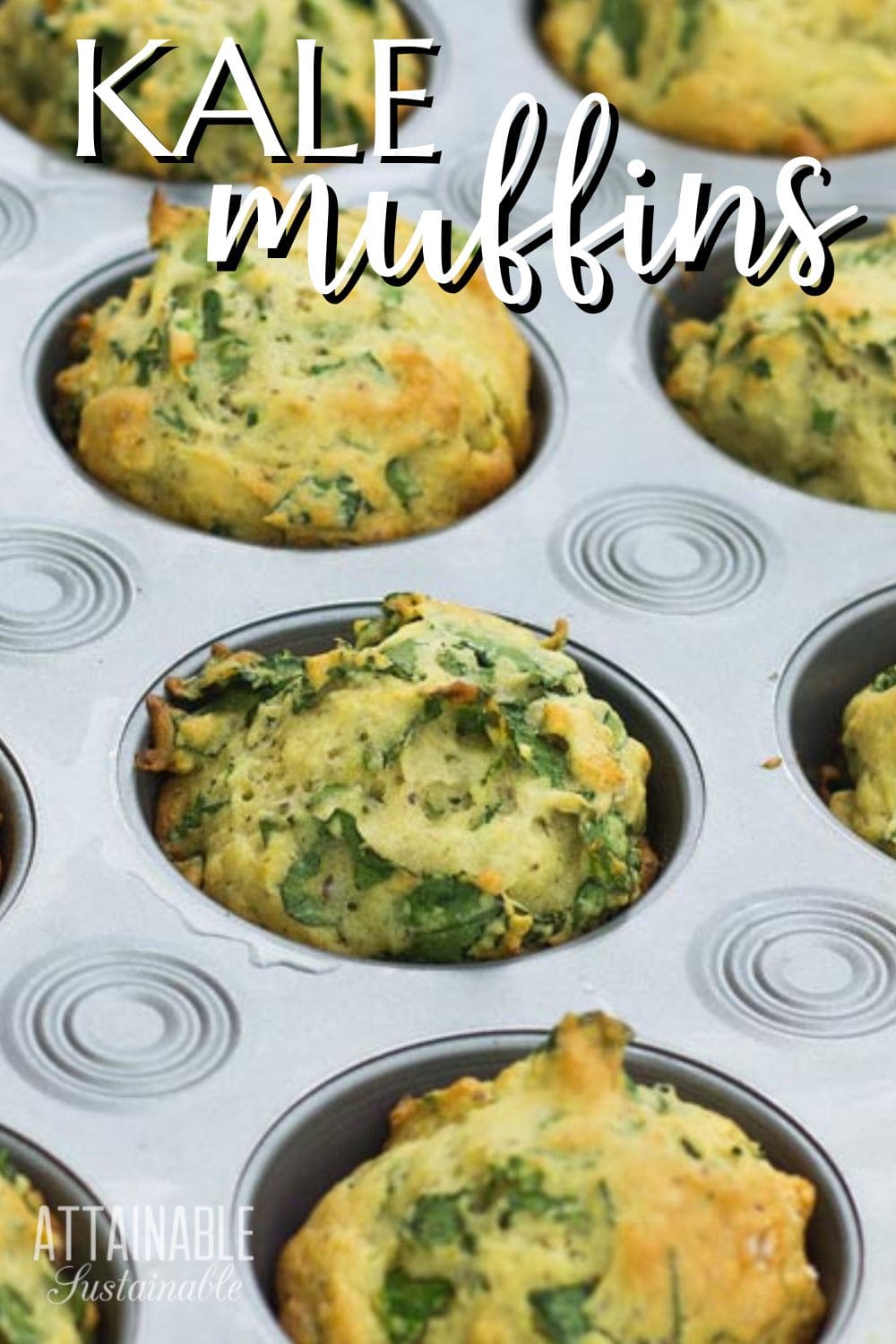 kale muffins in a muffin tin after baking.