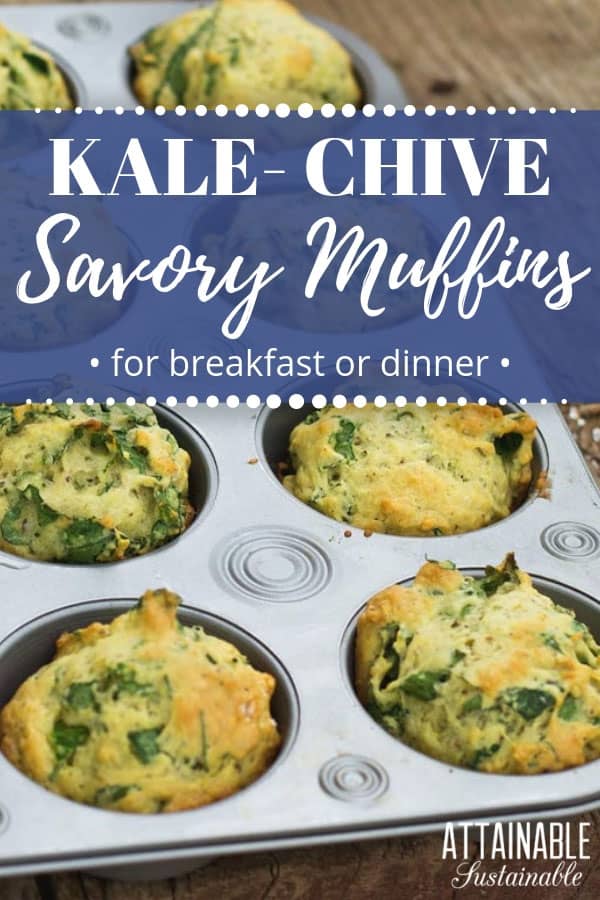 savory kale muffins in a muffin tin
