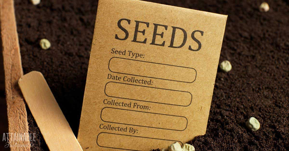 brown seed packet