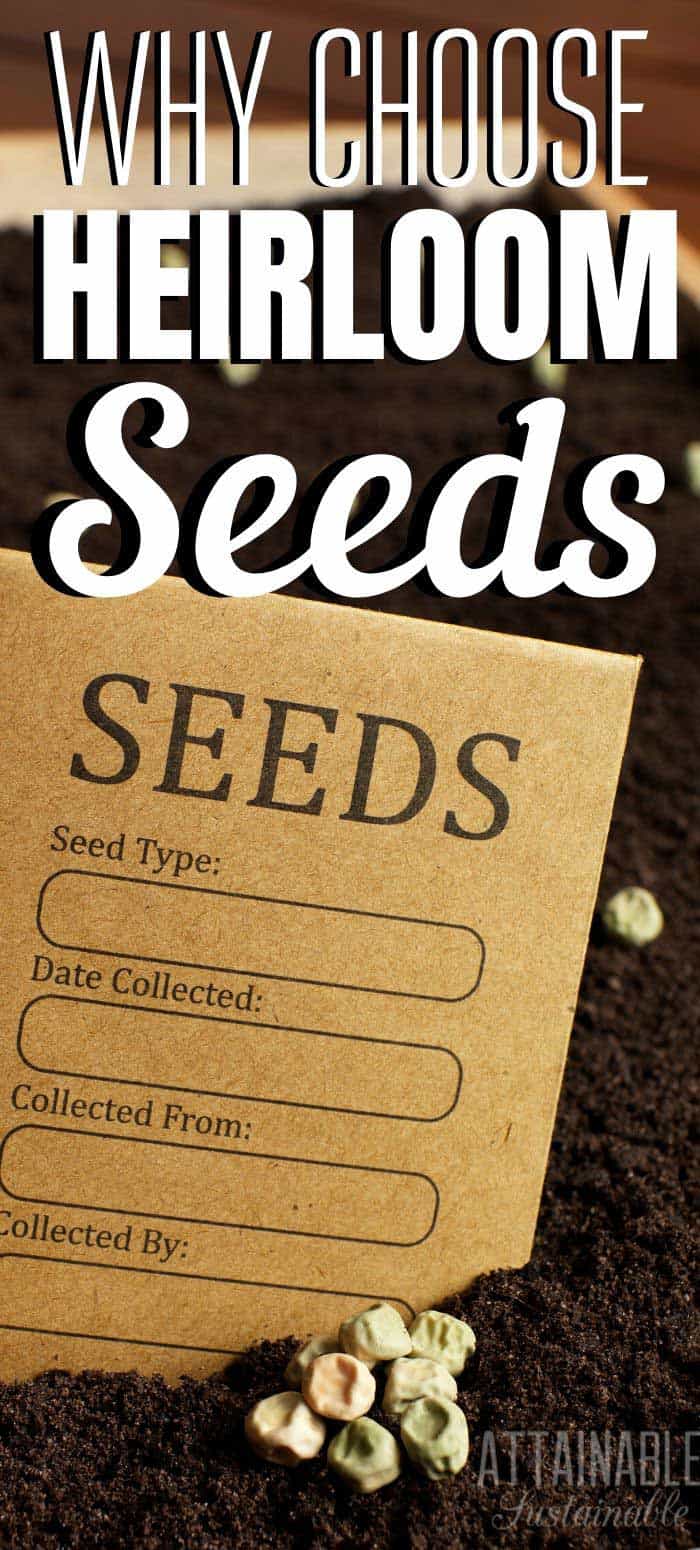 Heirloom Seeds 6 Reasons to Grow them in Your Garden