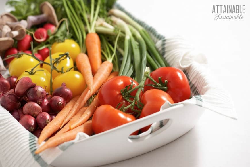 fresh vegetables in a white tray, fresh from the garden