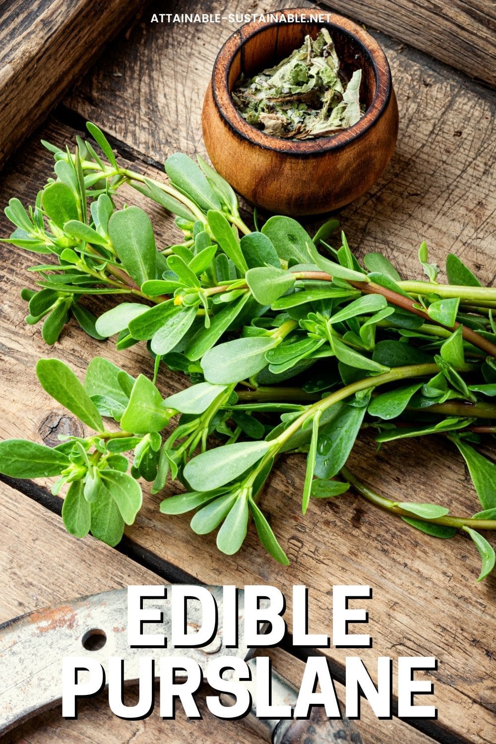 purslane stems on a wooden board.