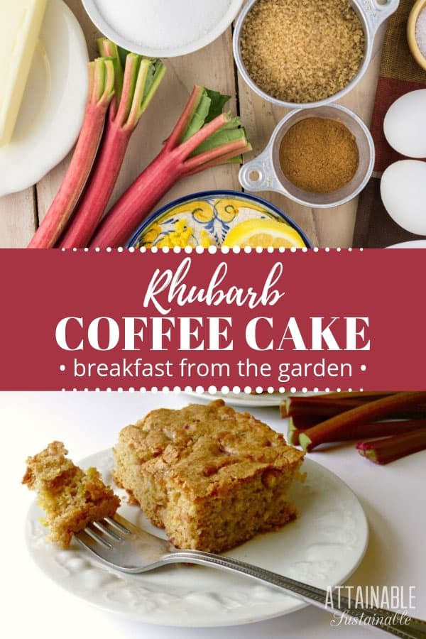 ingredients for rhubarb coffee cake; cake on a white plate