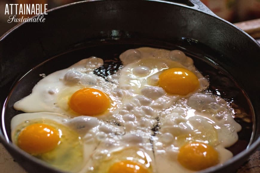 5 eggs frying in a cast iron pan