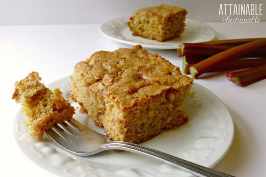 rhubarb coffee cake on a white plate with a fork