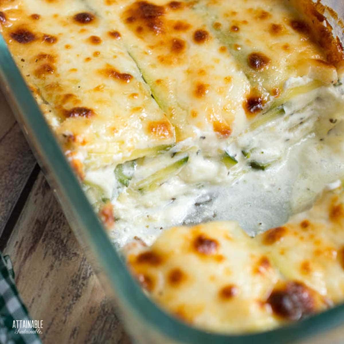 zucchini lasagna in a pan, white cheesy layer showing.