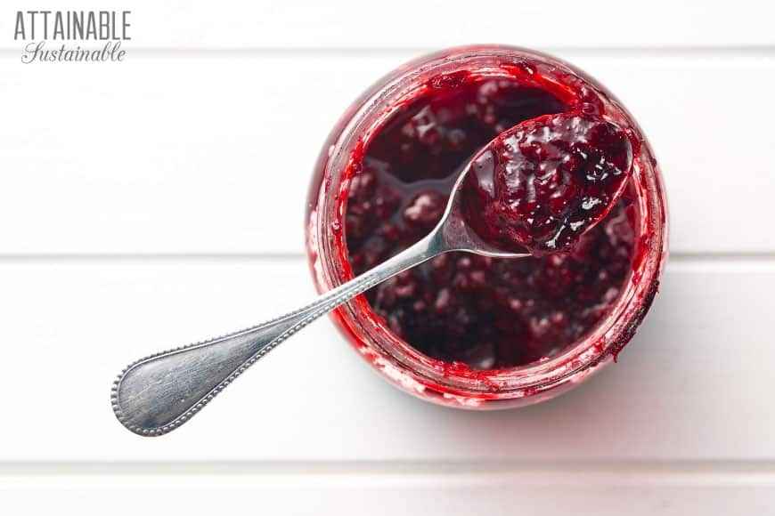 What's the Difference Between Jam and Jelly? Attainable Sustainable®