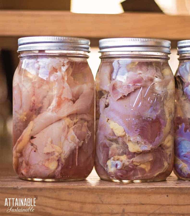 canning jars full of chicken ready to be processed on an off grid homestead