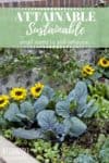 sunflowers and kale in a raised planter