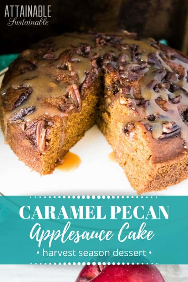 caramel pecan apple spice cake on a white platter - an instant pot cake!