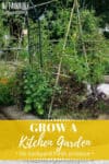 kitchen garden beds with veggies growing