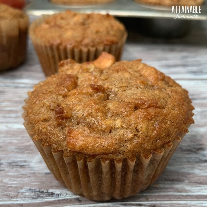 close up of browned apple muffin.