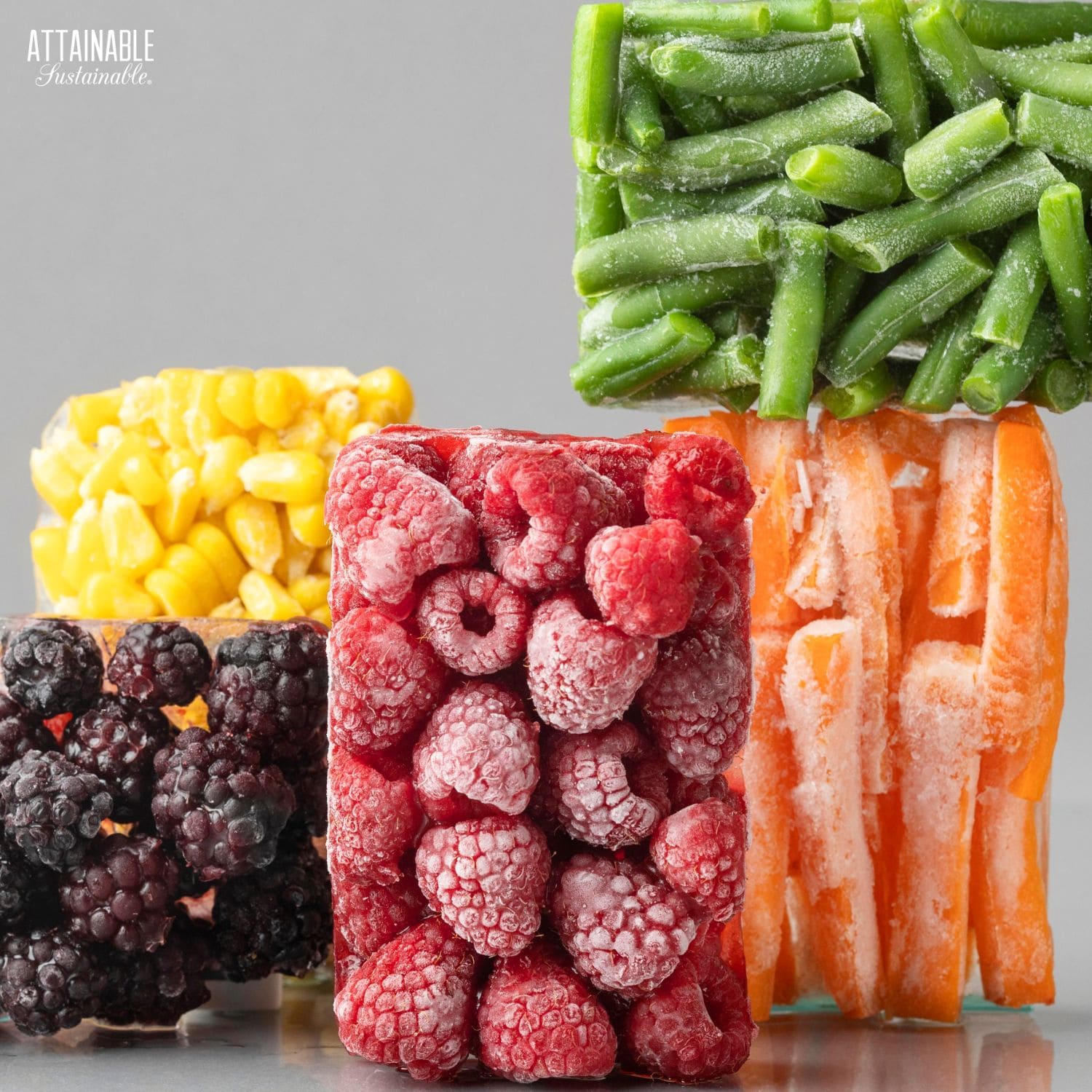 frozen produce in blocks with no container.