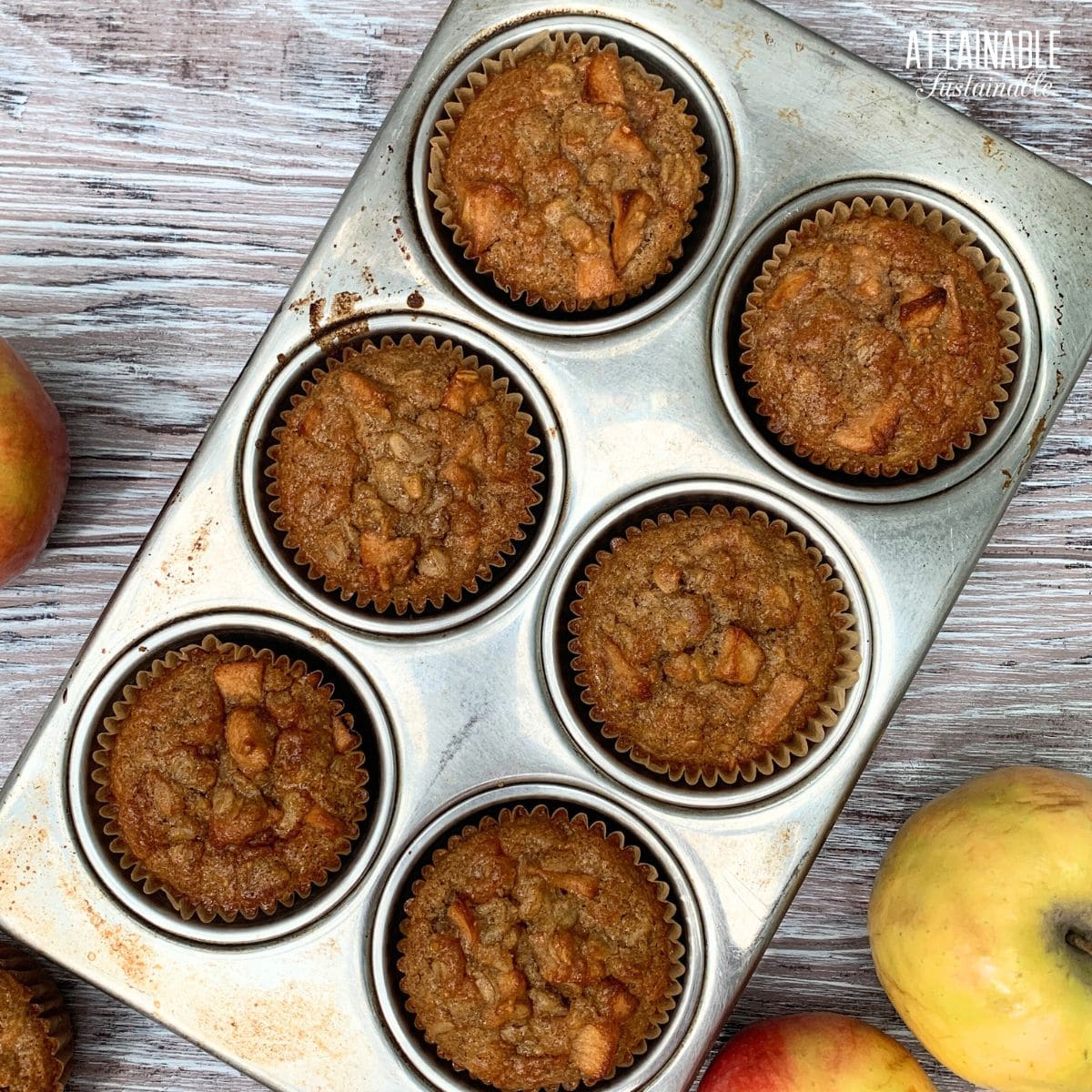 muffin tin with 6 cooked apple muffins from above.
