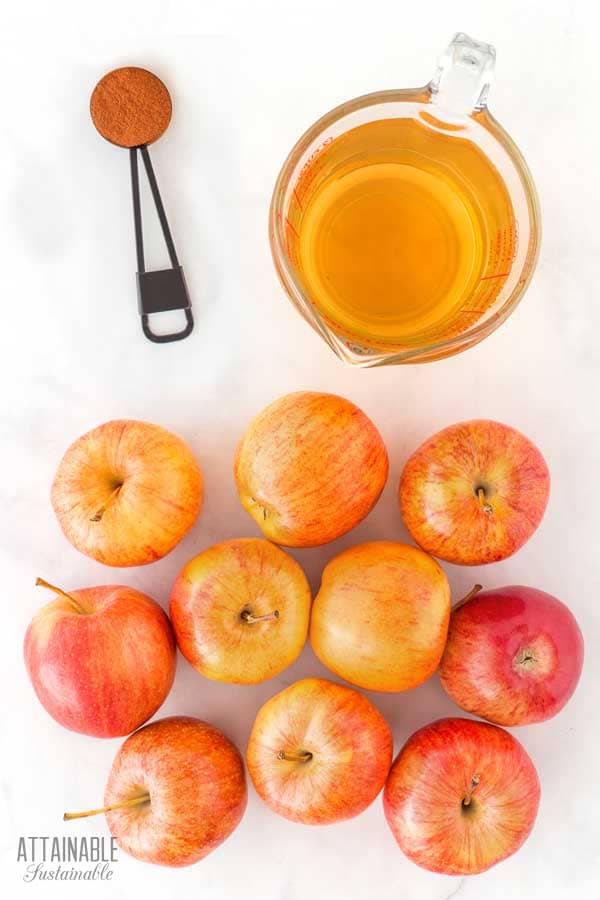apples, apple juice, and cinnamon on a white background.