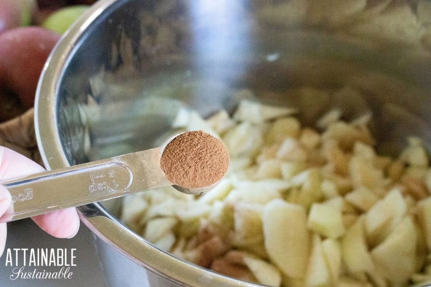 spoon full of cinnamon over chopped apples for instant pot applesauce