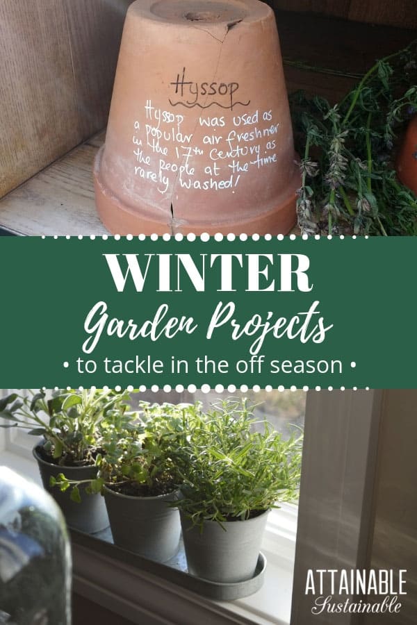 winter garden projects: Top, plant marker on clay pot, bottom, windowsill herb garden