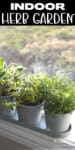 THREE GREY pots with herbs growing in them on a windowsill