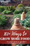 vegetable garden with terra cotta cloches