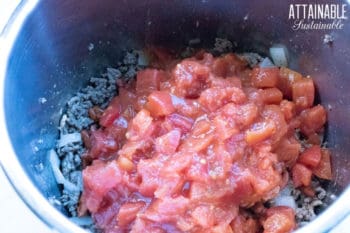ingredients for instant pot chili, with diced tomatoes on top