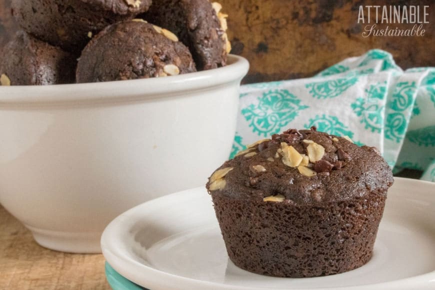 chocolate - chocolate chip muffin on a white plate, more in a white bowl behind.