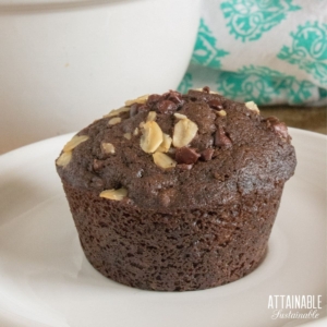 single chocolate muffin on a white plate.
