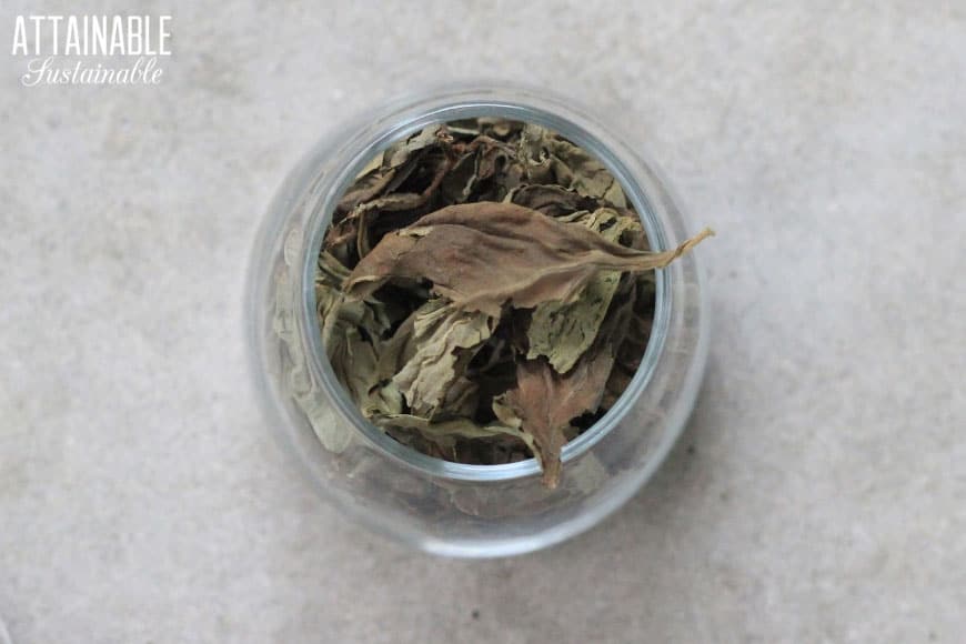 dried herb leaves in a glass spice jar from above