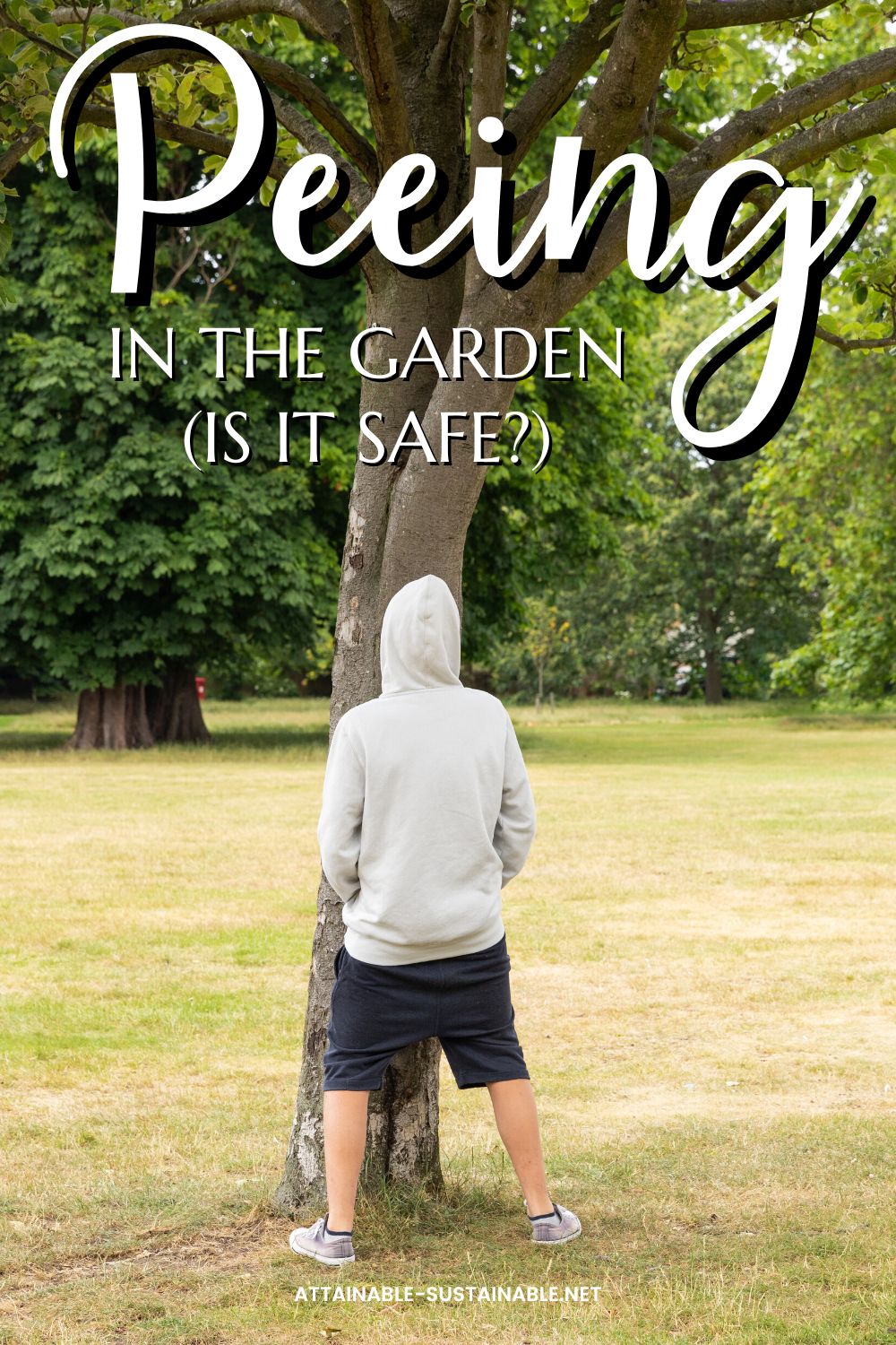 young man peeing on a tree.