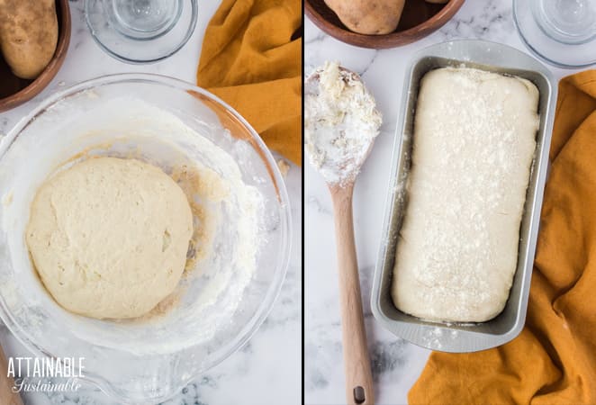 ball of potato bread dough in a bowl + dough in loaf pan before baking