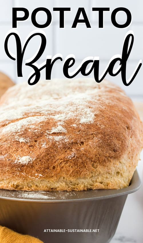 Soft Homemade Potato Bread Recipe - Attainable Sustainable