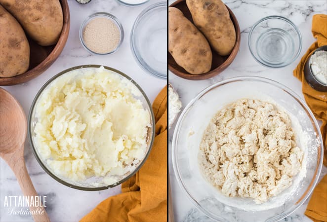 mashed potato in bowl + shaggy dough