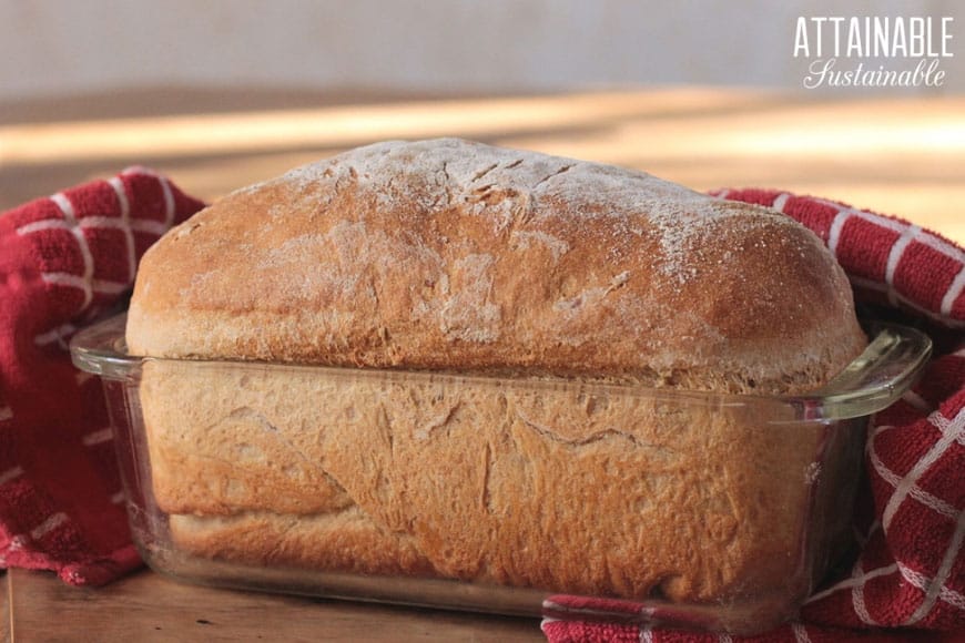 homemade potato bread recipe, fresh out of the oven (in a glass loaf pan)