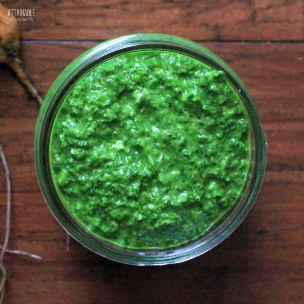Radish Greens Pesto How to Use these Edible Leaves