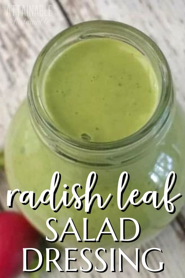 creamy green salad dressing in a glass jar with two radishes alongside - image accompanies a healthy salad dressing recipe made with radish greens.