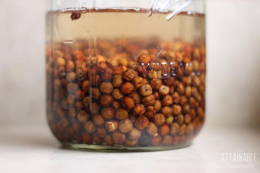 pea seeds in water in a glass jar