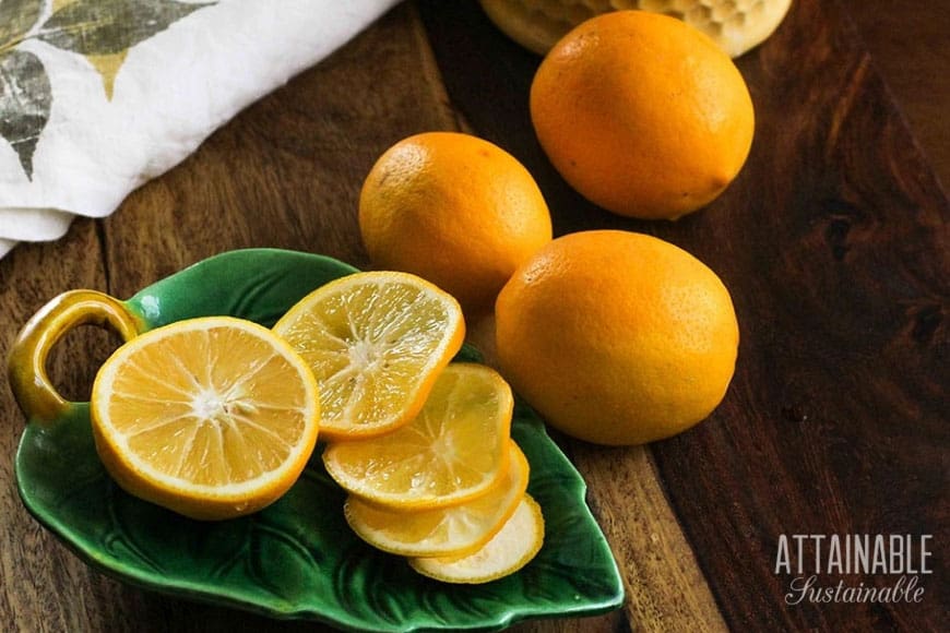 meyer lemons on a green leaf-shaped dish