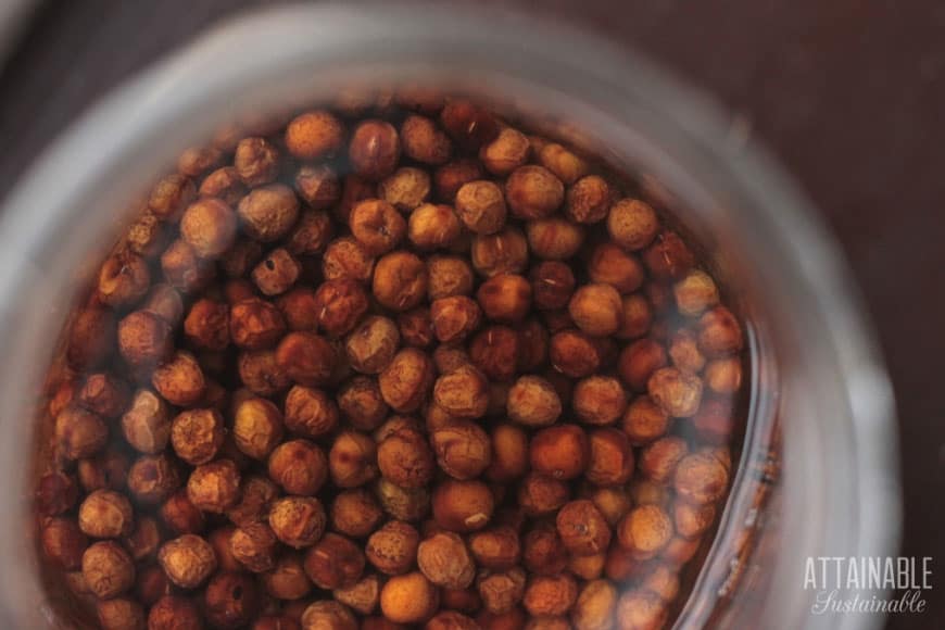 pea seeds in water in a glass jar from above