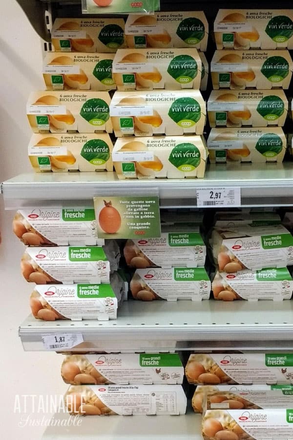 eggs on a shelf 