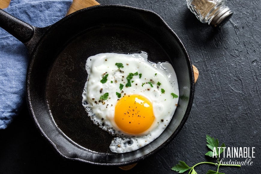 single fried egg in a cast iron pan