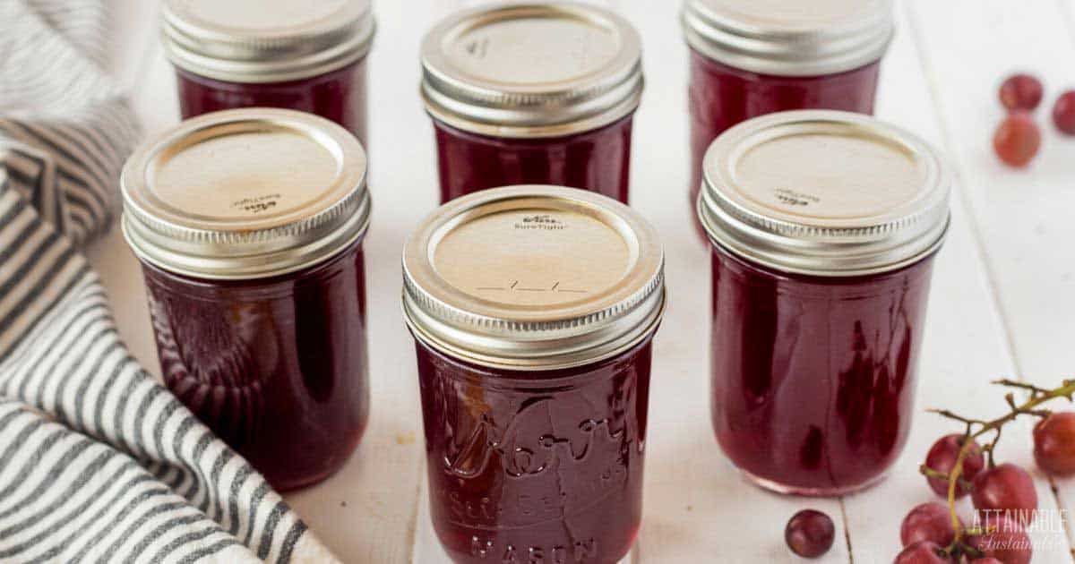 Grape Jelly Recipe: Quick and Easy Enough for Busy People