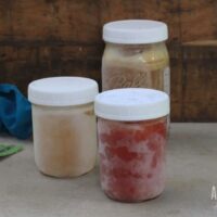 frozen food in mason jars