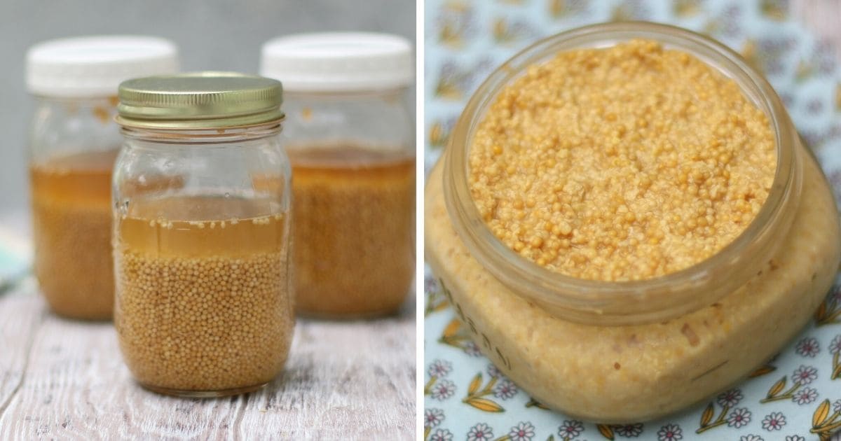 Easy 2-Ingredient Homemade Mustard