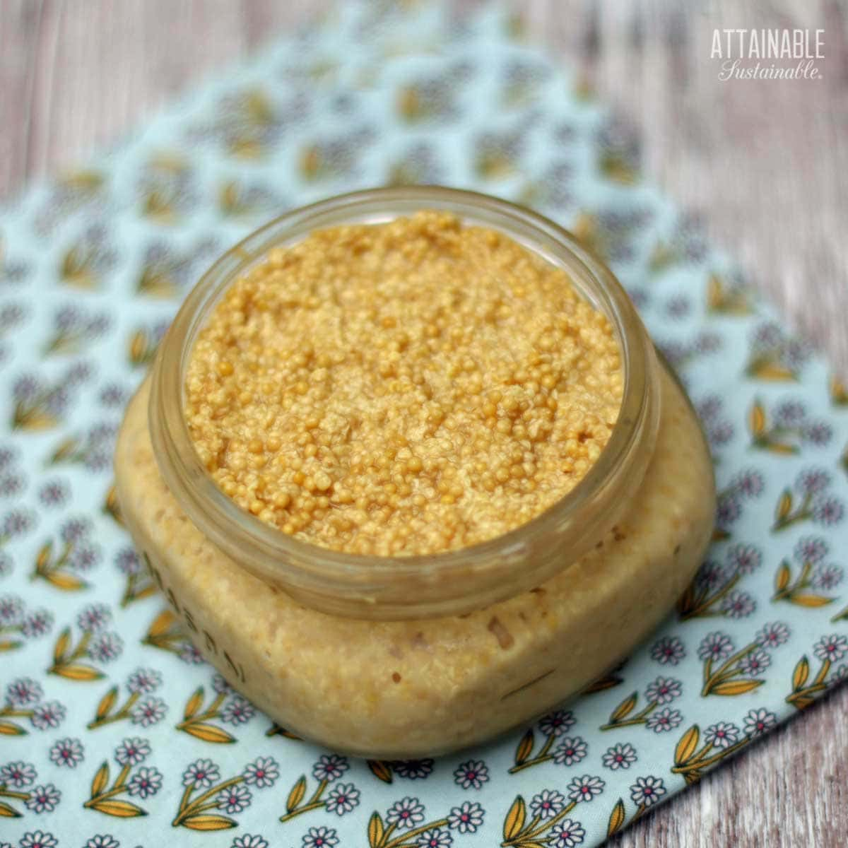 Gourmet Homemade Mustard Recipe - Attainable Sustainable