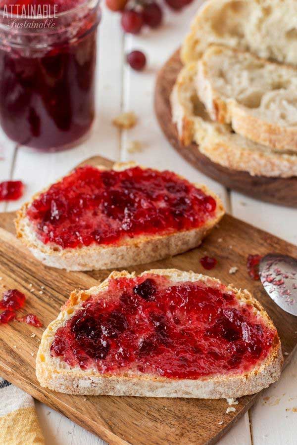 Two slices of toast spread with purple jelly