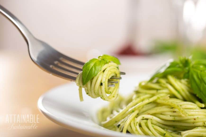 pasta on a white plate, some rolled on a fork