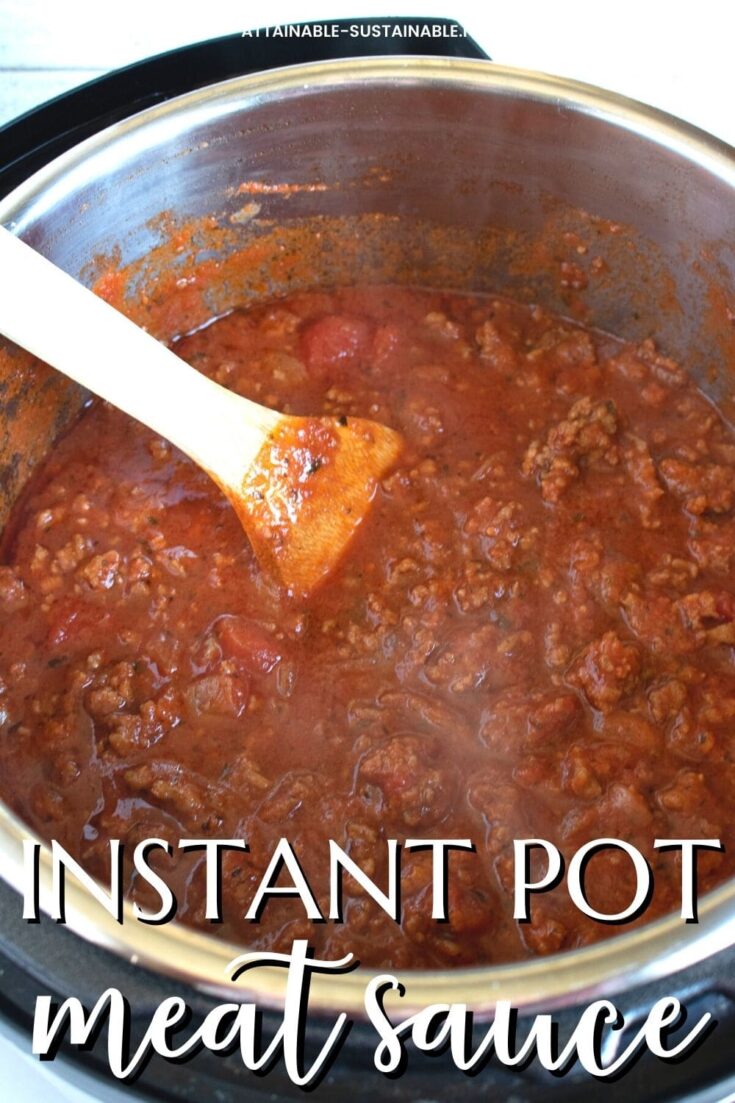 Easy Instant Pot Meat Sauce in an Hour Attainable Sustainable®