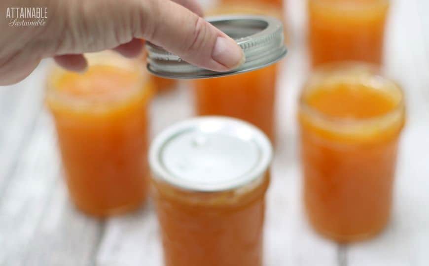 hand putting canning lids onto filled jelly jars