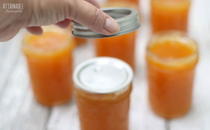 hand putting canning lids onto filled jelly jars.