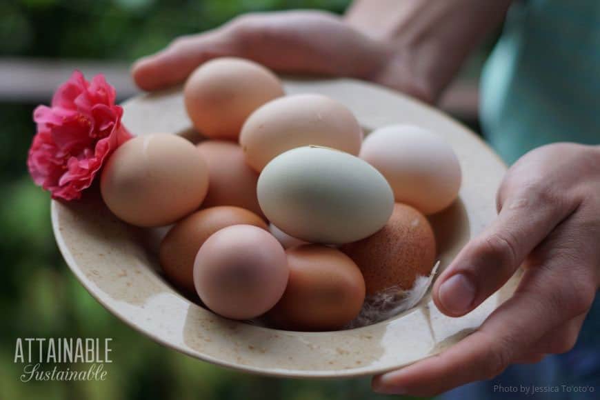 multi-colored eggs in a bowl with a pink flower, held by human hands